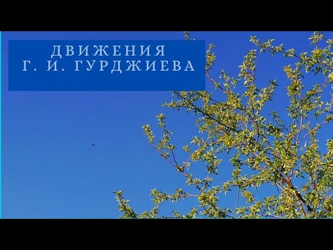 Видео: Движения Гурджиева - практика осознанности