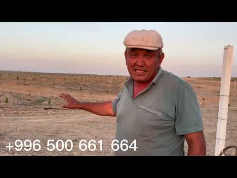 Видео: Бак остуруунун жаны ыкмалары