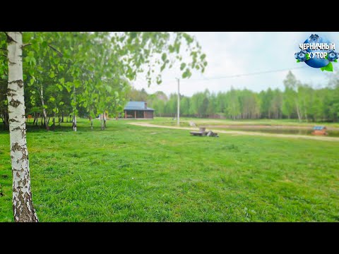 Видео: Жизнь на лесном хуторе. Навели порядок в стаде овец и поставили точку в истории с павлинами.