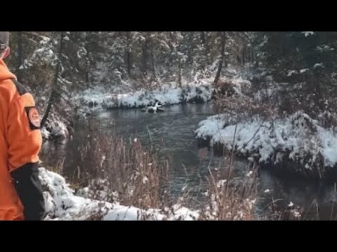 Видео: Турист заявил Усольцевых не было на горе они вообще не ступали на тропу?