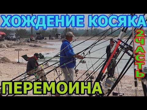 Видео: Перемоина.Ловим пелингаса в Кирилловке.Хождение косяка.2я часть.