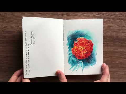 Видео: Falafel Swiss Black Sketchbook tour/ Обзор скетчбука Falafel Swiss