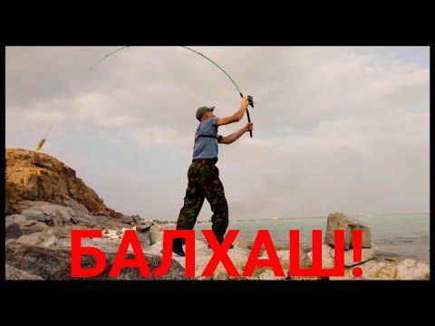 Видео: Рыбалка. Балхаш.