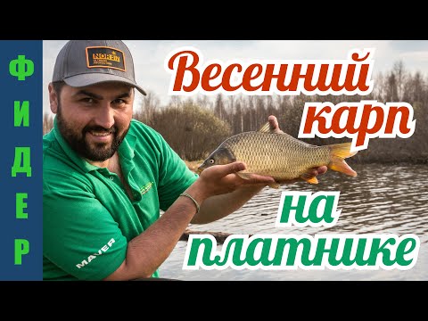Видео: Секрет успеха на весенней рыбалке. Карп на фидер