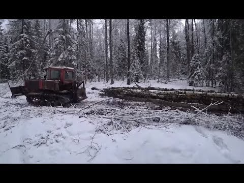 Видео: Лесозаготовка, ДТ-75 с лебёдкой (ч.2)