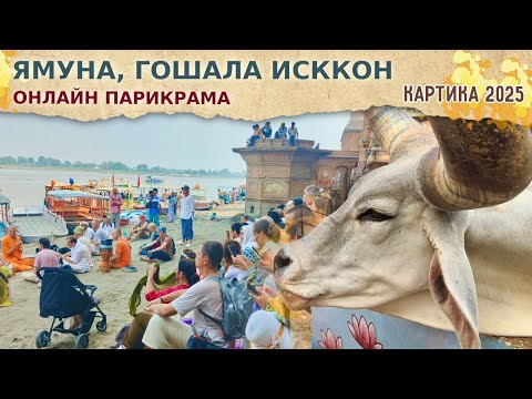 Видео: ⭐️ РЕКА ЯМУНА, ГОШАЛА ИССКОН. Онлайн парикрама. Харинама-тур. 2025.10.19
