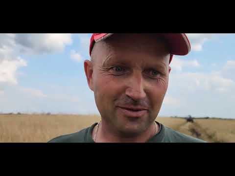 Видео: Застрягли комбайном називається намолотились