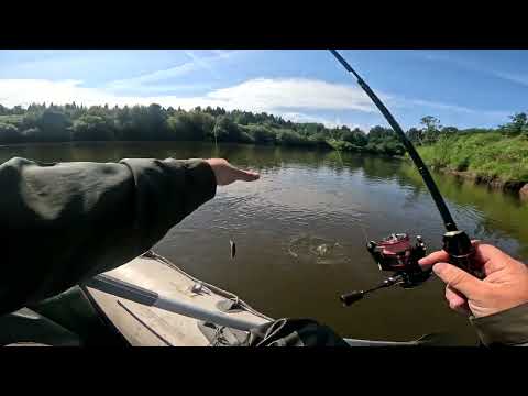 Видео: Рыбалка на р.Чепца. Одиночная рыбалка перед грозой