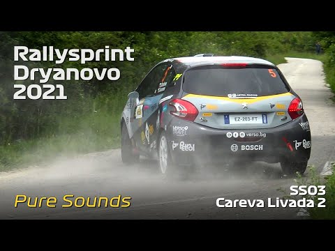 Видео: Ралиспринт Дряново 2021 - СЕ02 Царева Ливада 2