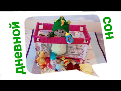 Видео: Как проходит время после дневного сна у басика?