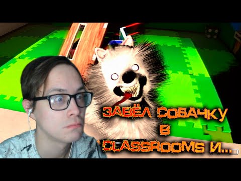 Видео: Завёл собачку в Classrooms и... || #5