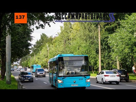 Видео: 23.09.23 Автобусный маршрут 137(Временная трасса) борт. 6709 в Санкт-Петербурге.