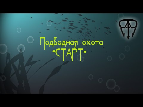 Видео: Подводная охота для новичков. Основы