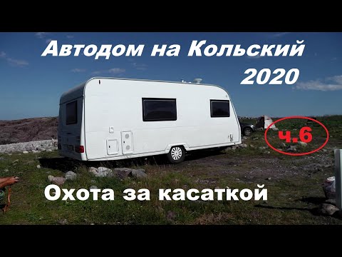 Видео: Териберка ч.6. "Охота за касаткой"