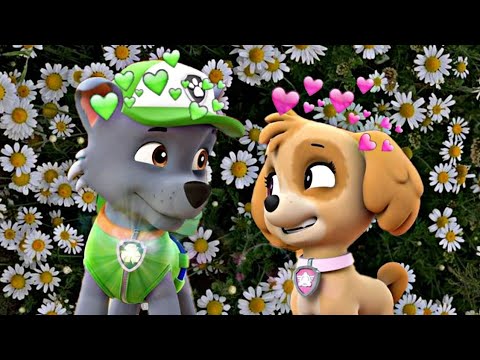 Видео: ~💋🤍рокки и скай 💋🤍(🆁🅾🅲🅺🆈 🆇 🆂🅺🆈🅴) ~