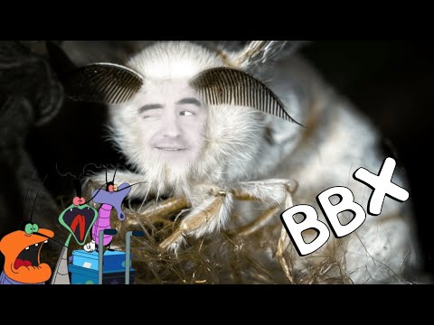 Видео: [BlackSilverUfa] - Я моль,  я живу с тараканами, у нас счастливая семья #ввх