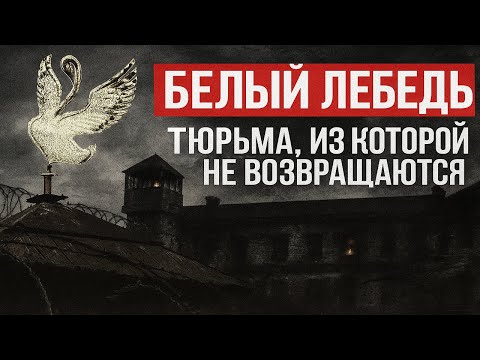 Видео: ДВЕ ДОРОГИ ДЛЯ ВОРОВ: ЛИБО «ПЕТУХ», ЛИБО «КРАСНЫЙ» | БЕЛЫЙ ЛЕБЕДЬ: КАК ЛОМАЛИ ВОРОВ В ЗАКОНЕ