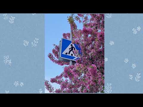 Видео: вайбуем девочки и мальчики. на дворе весна
