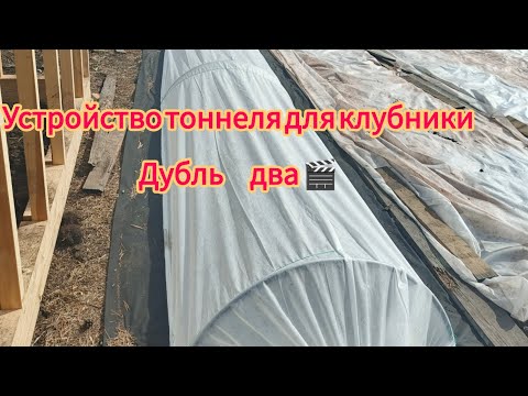 Видео: Тоннель для укрытия клубники. пересняла видео, чтоб было более понятно