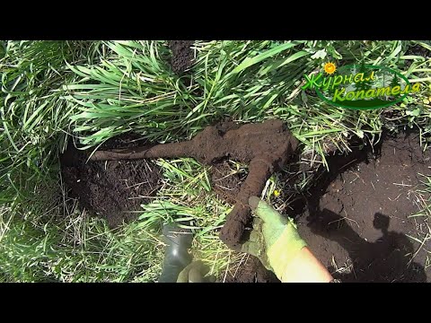 Видео: ВЗЯЛИ БОЛЬШЕ 100 КГ ОДНОЙ НАХОДКОЙ! Коп металлолома в деревне