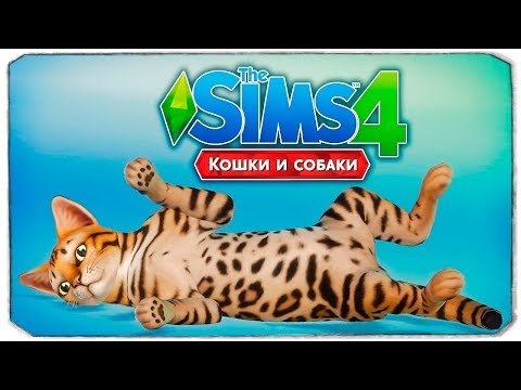 Видео: КОШКИ И СОБАКИ ВЫШЛИ! - The Sims 4 "Кошки и Собаки"