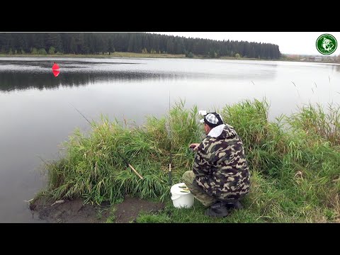 Видео: ЩУКА НА ПОПЛАВОК ОСЕНЬЮ! РЫБАЛКА НА ЩУКУ С ЖИВЦАМИ РЯДОМ С ДОМОМ ОСЕНЬЮ, ПЕРВАЯ ПОКЛЁВКА!