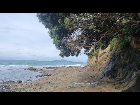 Видео: 🇺🇦🇳🇿 Моя история.... часть 2....