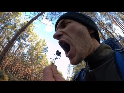 Видео: 2 День Выживания Без еды I Всё Пошло не по Плану