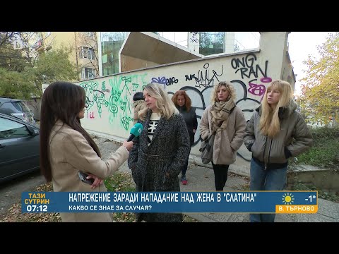 Видео: Ако от полицията не се задействат, ще организираме хайки: Жените в Слатина след сигнали за нападения