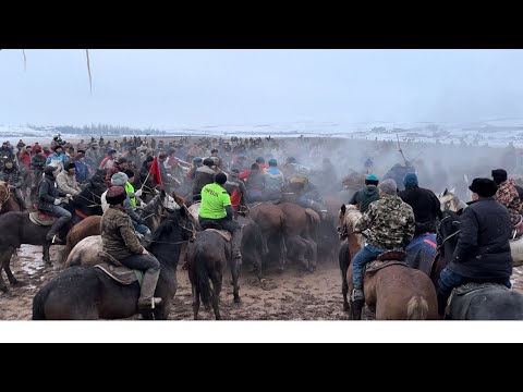 Видео: Алтынтөбе Жарас ағамыздың той көкпарында салымды болған аттармен шабандоздар