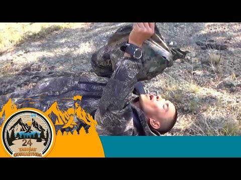 Видео: Қатысушы мәреге жетпей жарыс жолынан шығып қалды / 24 сағат табиғат құшағында