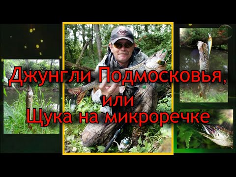Видео: Константин Кузьмин. Щука на микроречке.
