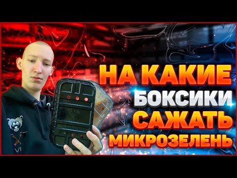 Видео: Какие боксы нужны для выращивания микрозелени? Бизнес микрозелень!