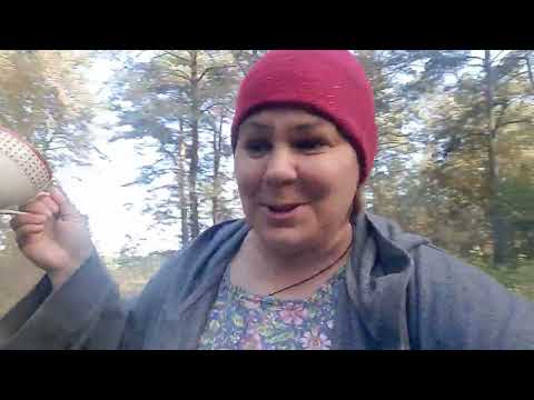 Видео: С чашкой по селу // Голубцы кручу