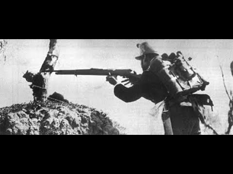 Видео: Коротко об истории самозарядных винтовок