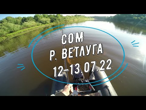 Видео: Сом, река Ветлуга 12-13.07.2022г. вес 27 кг.