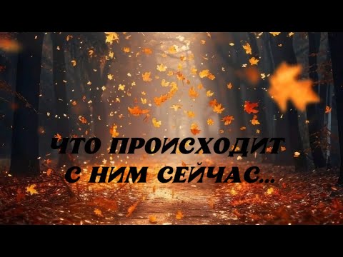 Видео: ⁉️ЧТО В ЕГО ДОМЕ,НА СЕРДЦЕ, В ЛЮБВИ и.т д...⁉️ЕГО МЫСЛИ О ВАС...🌹