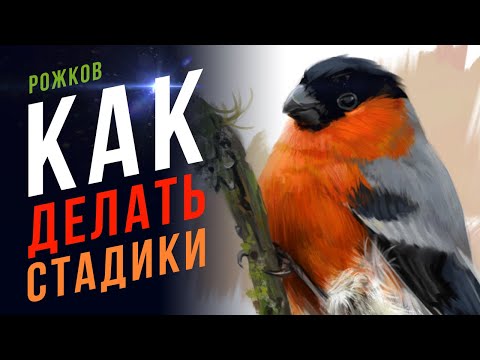 Видео: 👍🏻 Как рисовать стадики ПРАВИЛЬНО. Как делать стадики