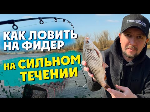 Видео: КАК ЛОВИТЬ НА ФИДЕР НА СИЛЬНОИ ТЕЧЕНИИ. ТОП 5 советов! Пробуем сублимированную еду.