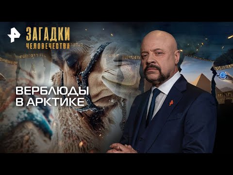 Видео: Загадки человечества с Олегом Шишкиным — Верблюды в Арктике (17.09.2025)