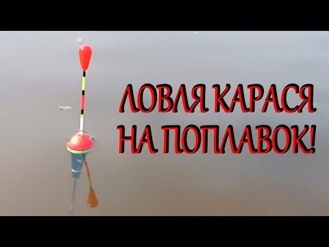 Видео: Ловля карася на поплавок! Рибалка на поплавок в березні! Тільки закинув і одразу КЛЮЄ!