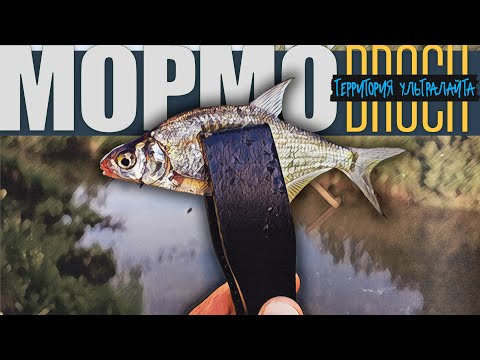 Видео: ЛЕТНЯЯ РЫБАЛКА НА УЮТНОЙ РЕКЕ  ► МОРМЫШИНГ