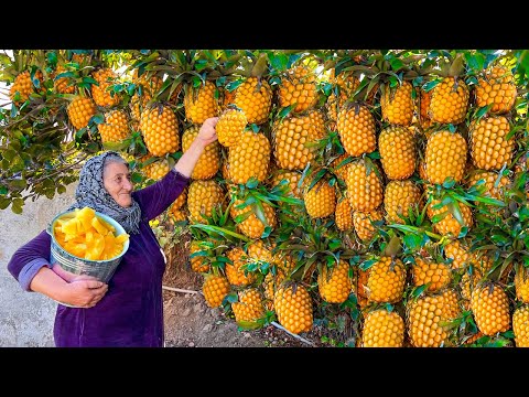 Видео: Много Собранных Свежих Ананасов! Готовим Варенье и Пирог на Зиму!