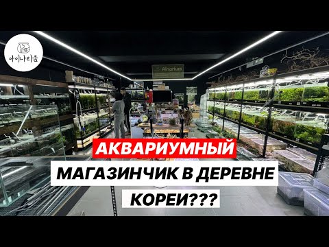 Видео: Посетили домашний аквариумный магазин в Южной Корее