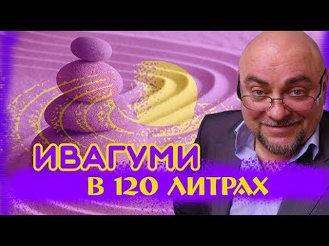 Видео: #aquascaping #hardscape #aquadesign #Аквариумистика. #Акваскейп. Ивагуми в 120 литрах.