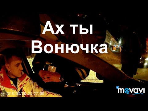 Видео: Общение с ИДПС. Матвеев Вонючка Водитель