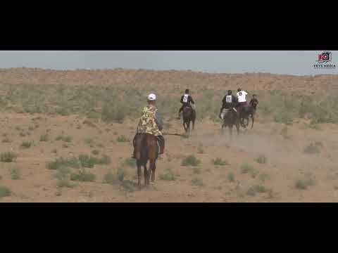 Видео: Ақтакыр көкпар