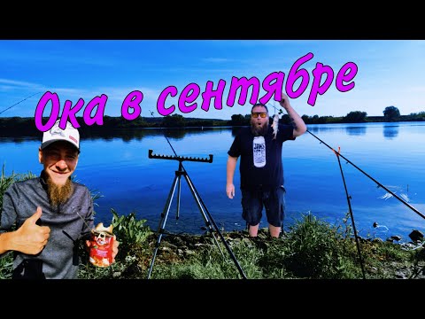 Видео: Рыбалка на Оке. Ока в сентябре. Такой рыбалки мы не ожидали. 