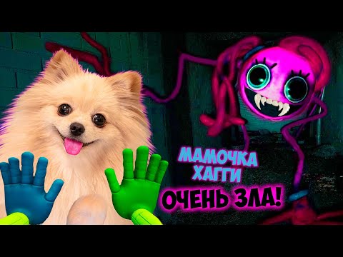 Видео: НА МЕНЯ НАПАЛА МАМОЧКА ХАГГИ ВАГГИ !  ОНА СТАЛА ОЧЕНЬ ЗЛОЙ ! POPPY PLAYTIME CHAPTER 2