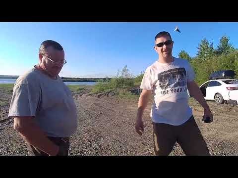 Видео: классная рыблка на нарезку клевал судак